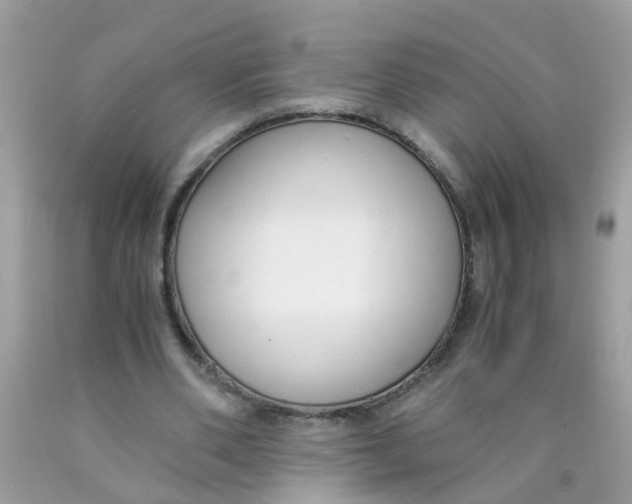 X0000089890486200707262233