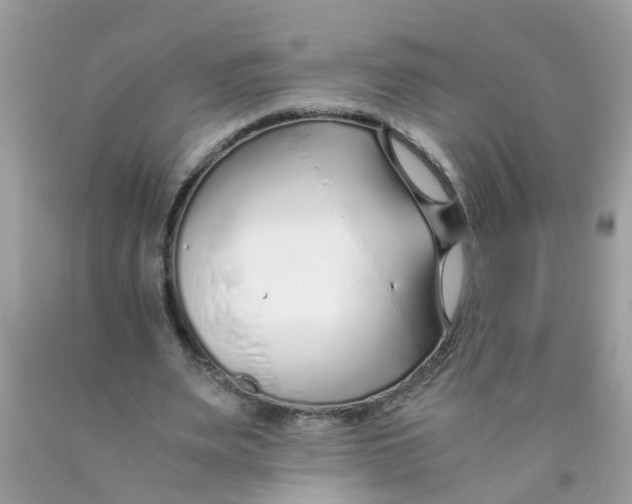 X0000089890487200707262233