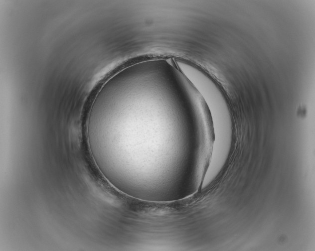 X0000089890488200707262233