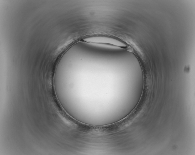 X0000089890489200707262233