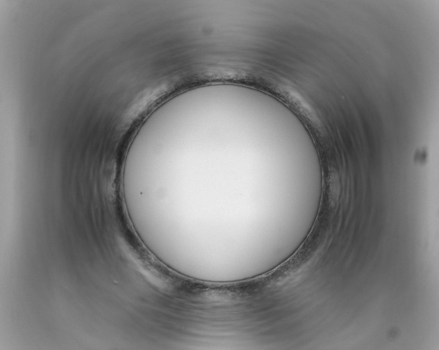 X0000089890490200707262233