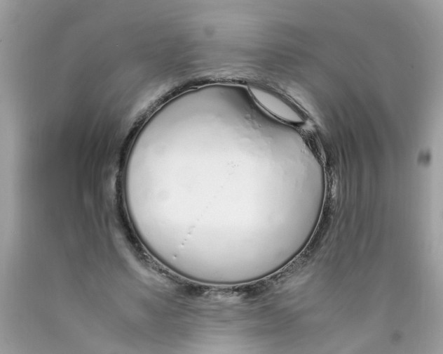X0000089890491200707262233