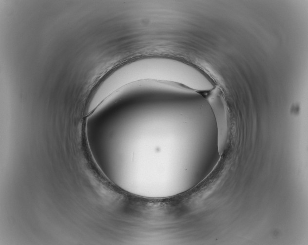 X0000089890493200707262233