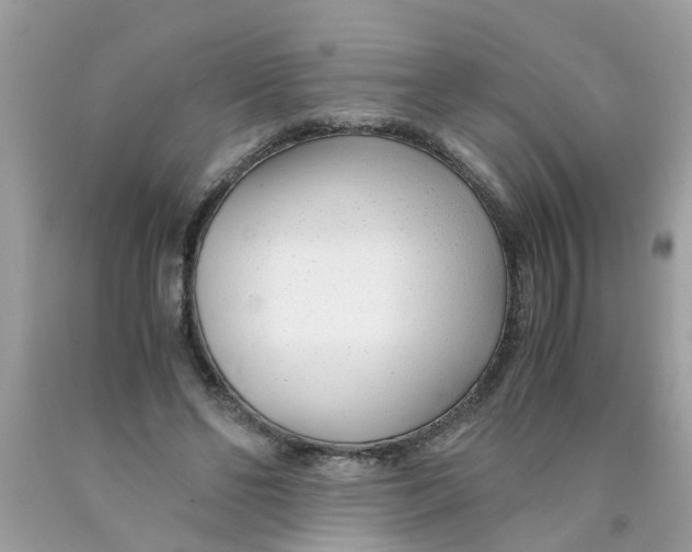 X0000089890494200707262233