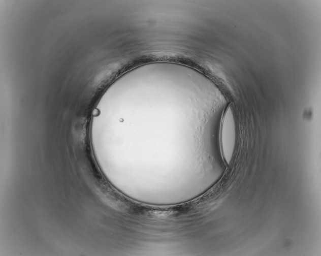 X0000089890495200707262233
