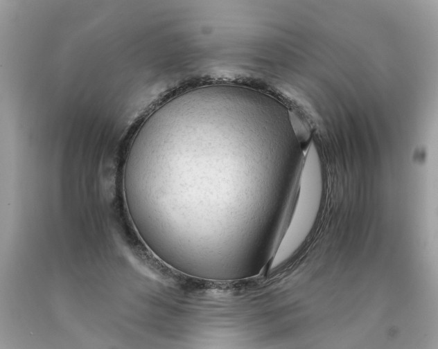X0000089890496200707262233