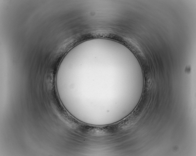 X0000089890498200707262233