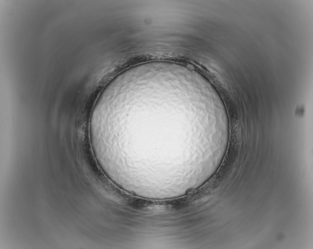 X0000089890499200707262233