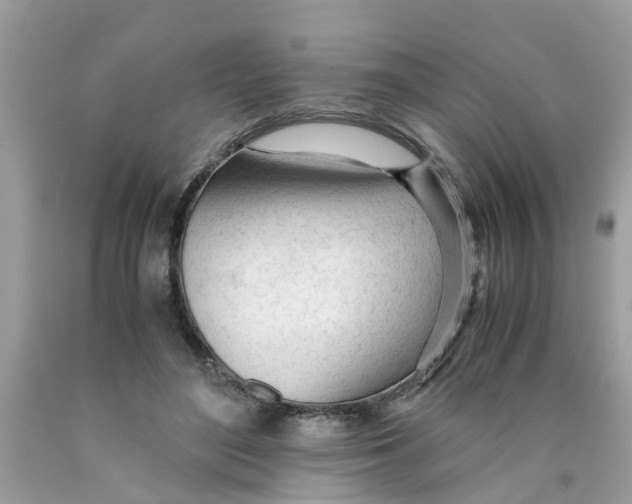 X0000089890500200707262233