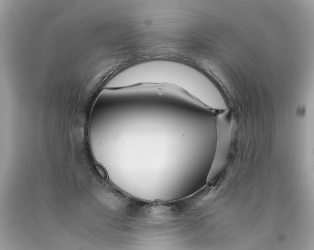 X0000089890501200707262233