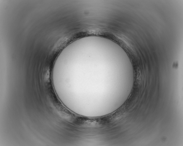 X0000089890502200707262233