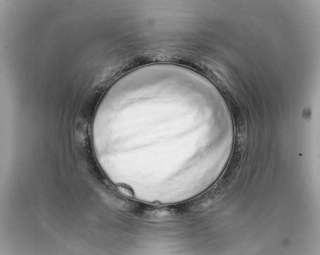 X0000089890503200707262233