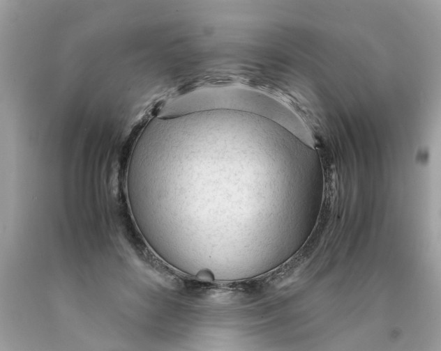 X0000089890504200707262233