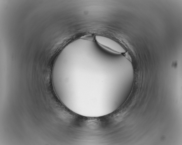X0000089890505200707262233
