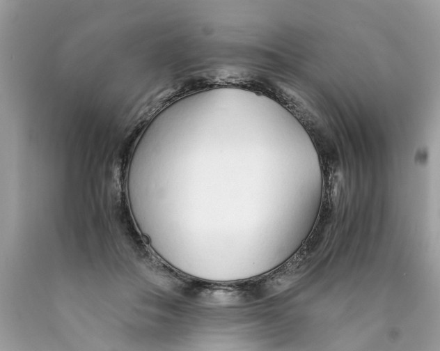 X0000089890506200707262233