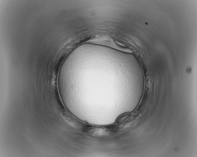 X0000089890507200707262233