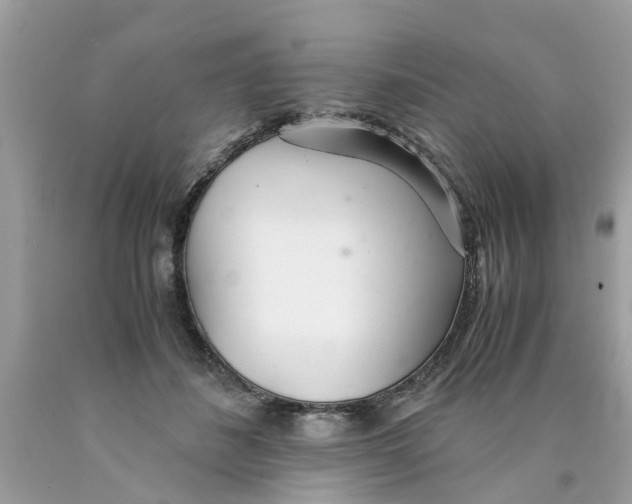X0000089890508200707262233