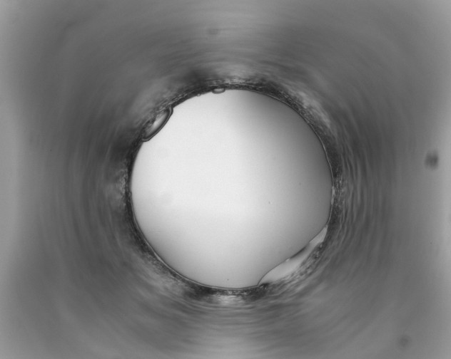 X0000089890509200707262233