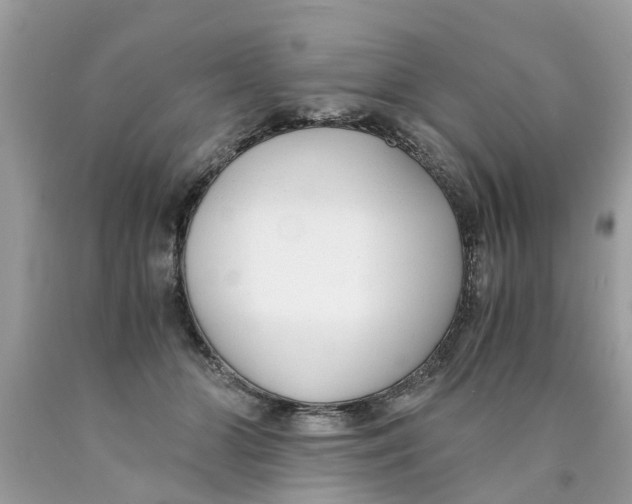 X0000089890510200707262233