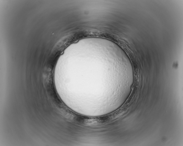 X0000089890511200707262233