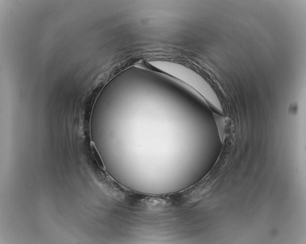 X0000089890512200707262233