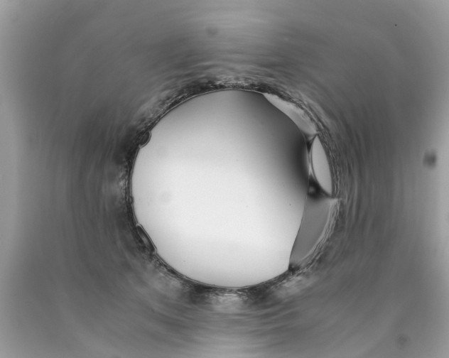 X0000089890513200707262233