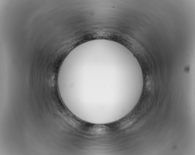 X0000089890514200707262233