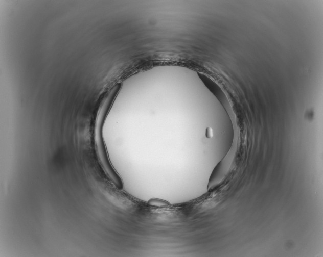 X0000089890516200707262233