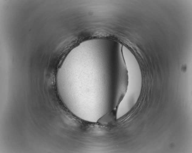 X0000089890517200707262233