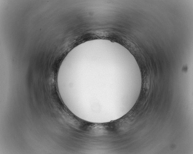 X0000089890518200707262233