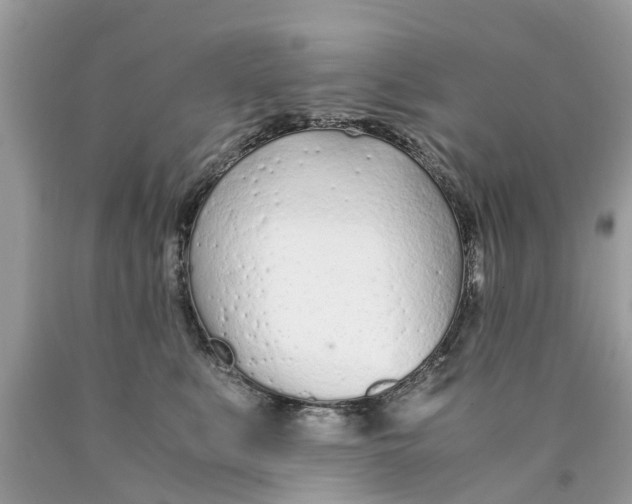 X0000089890519200707262233