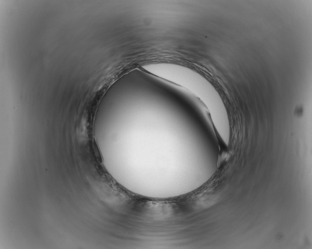 X0000089890520200707262233