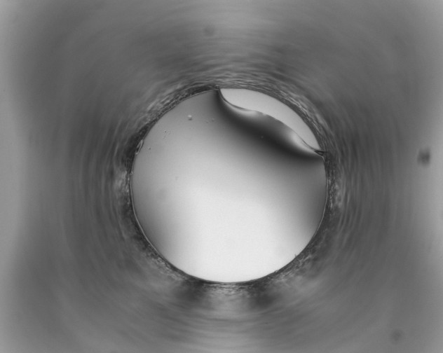 X0000089890521200707262233