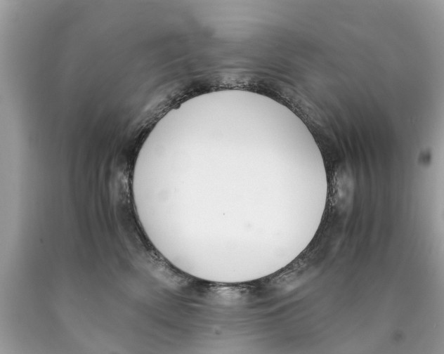 X0000089890522200707262233