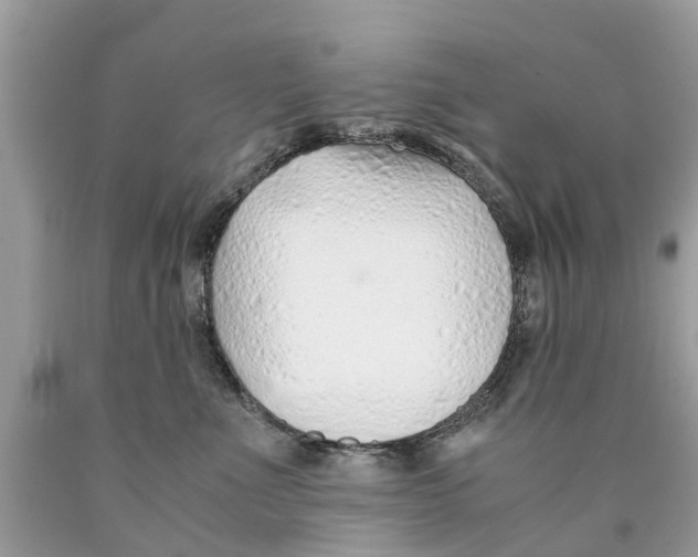 X0000089890523200707262233