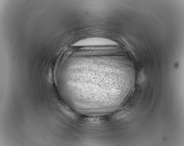 X0000089890524200707262233