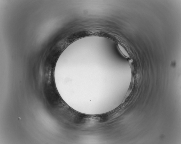 X0000089890525200707262233