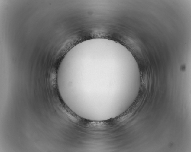 X0000089890526200707262232