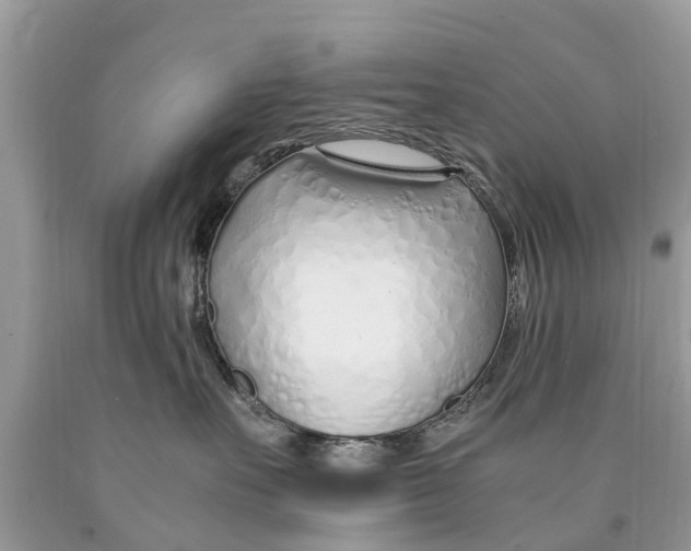 X0000089890527200707262232