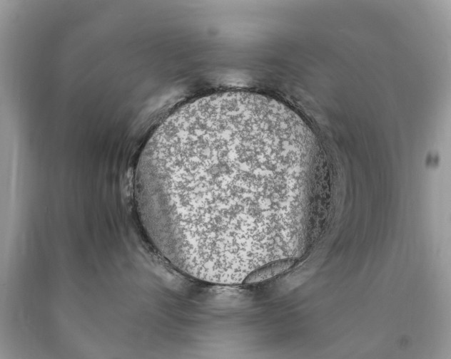 X0000089890528200707262232