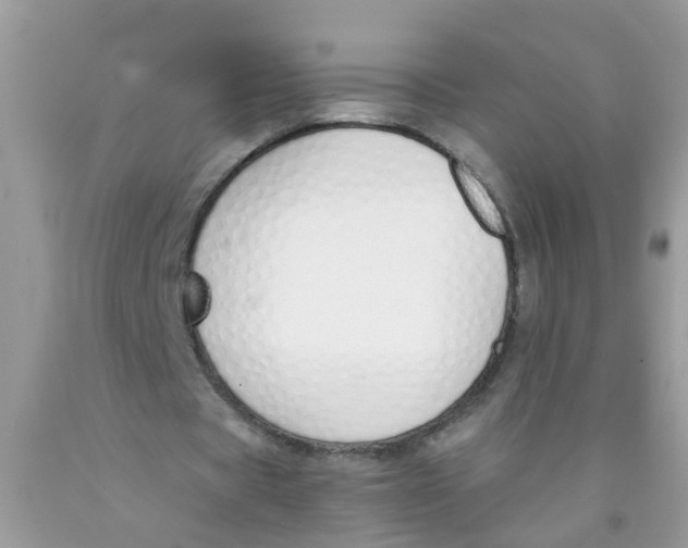 X0000089890529200707262232