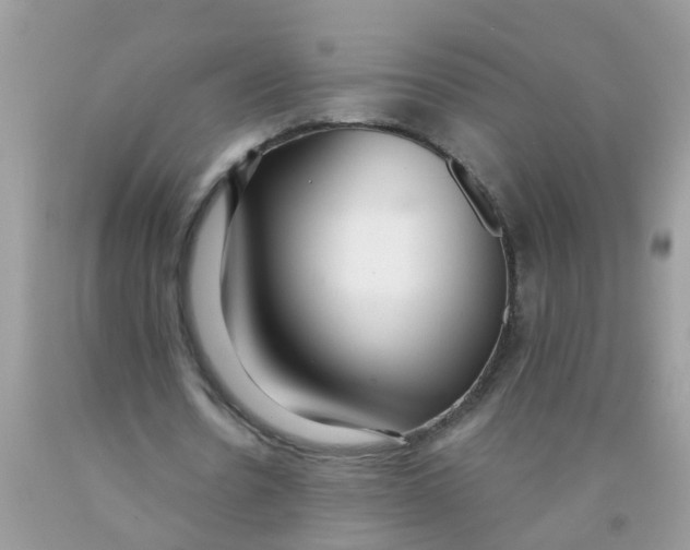 X0000089890530200707262232