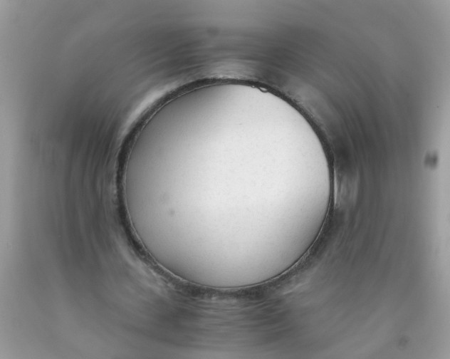 X0000089890531200707262232