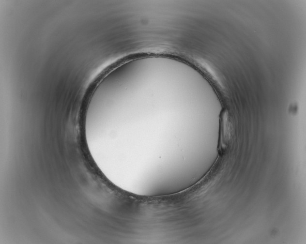 X0000089890532200707262232