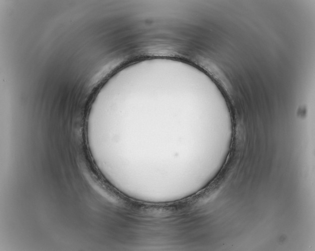 X0000089890533200707262232
