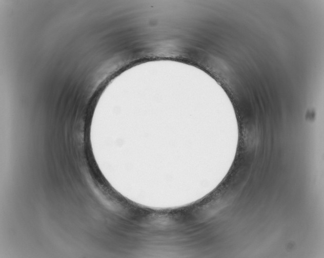 X0000089890534200707262232