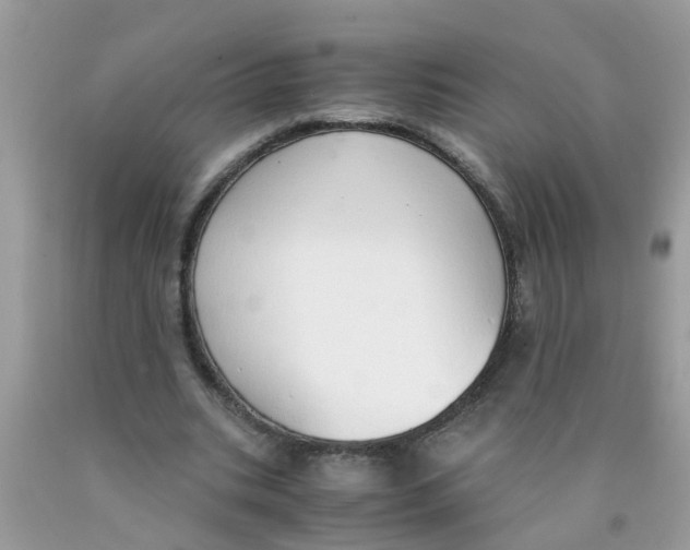 X0000089890535200707262232
