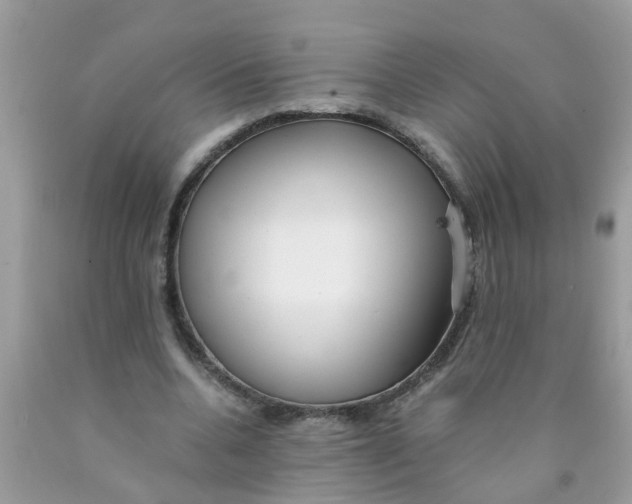 X0000089890536200707262232