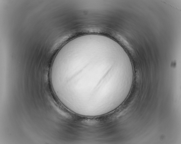 X0000089890537200707262232