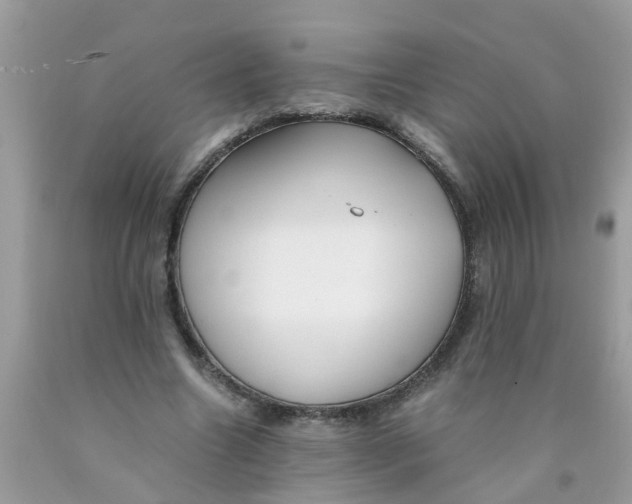 X0000089890538200707262232